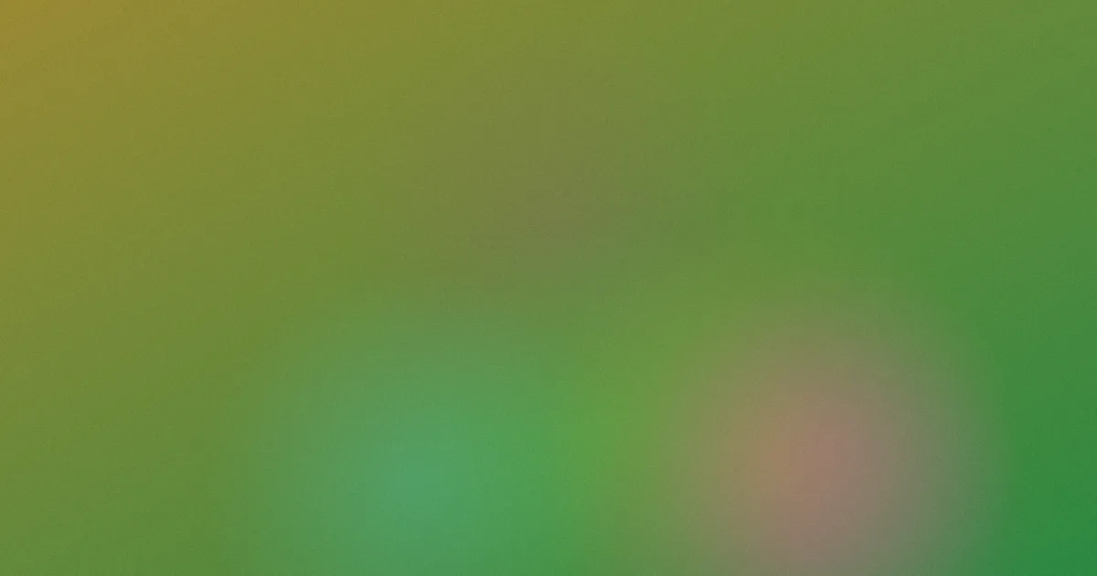 看特级毛片对比：一次复盘